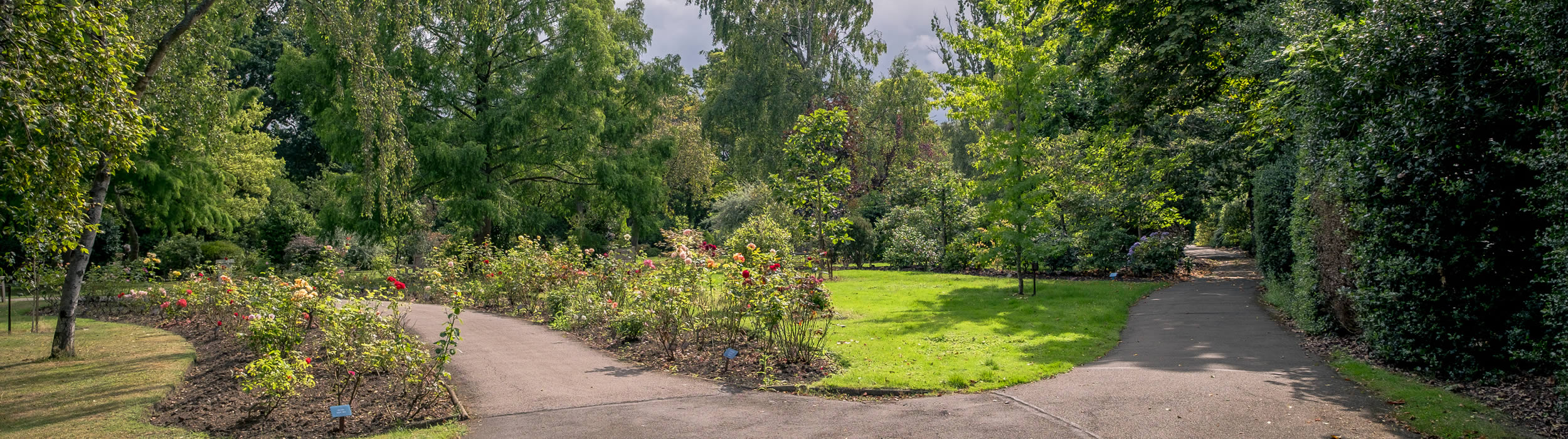 Golders Green Crematorium Garden