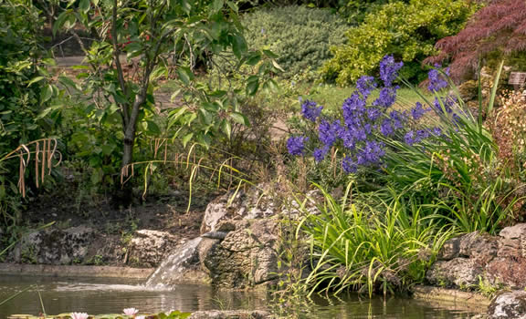 Golders Green Crematorium Garden