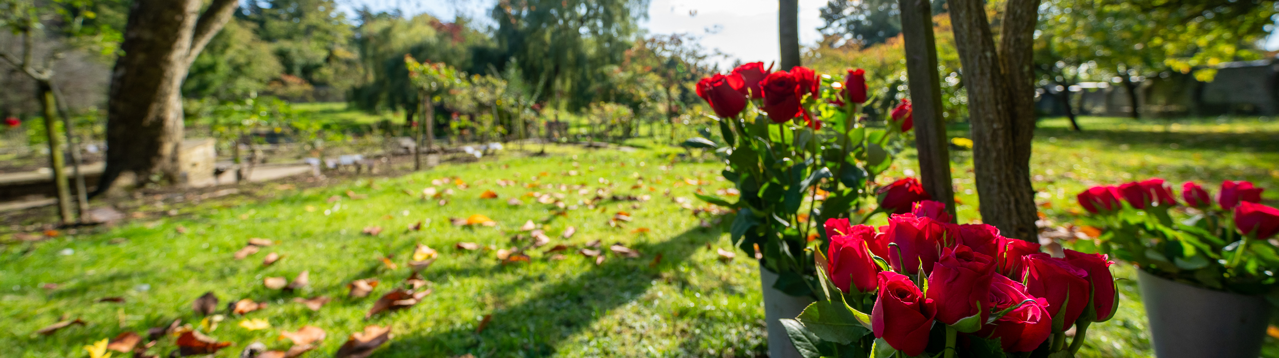 St Marylebone Crematorium Garden