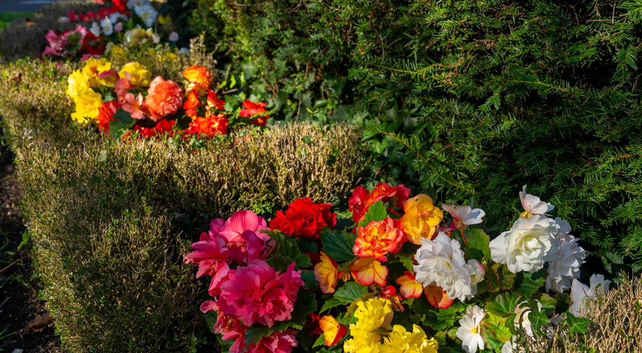 St Marylebone Crematorium