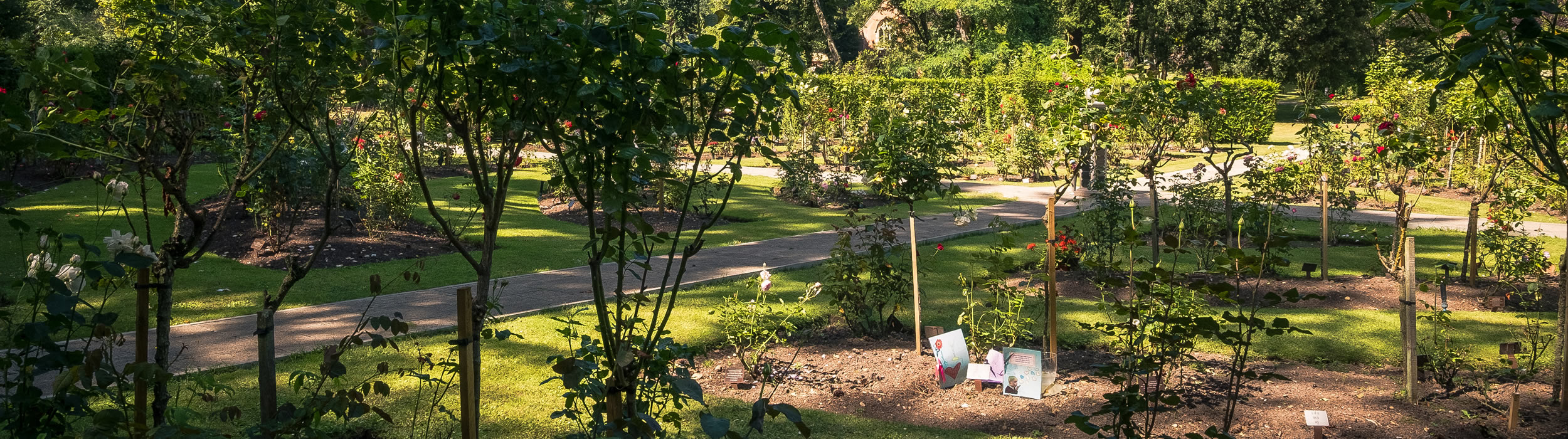 Woking Crematorium Garden