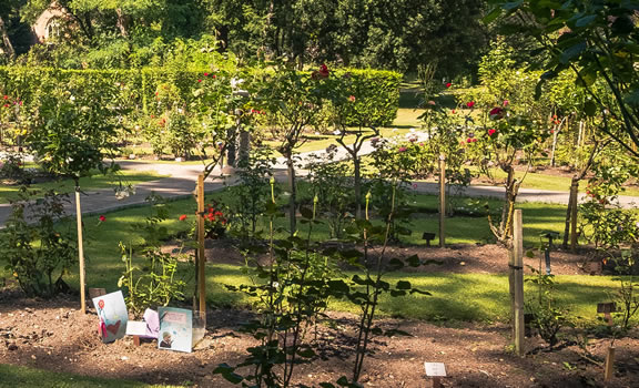 Woking Crematorium Garden